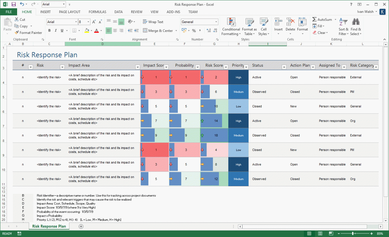 blank financial risk management meeting template