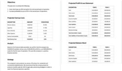 editable financial planning session meeting template