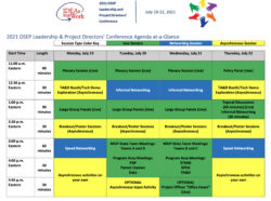 sample executive leadership summit meeting template example