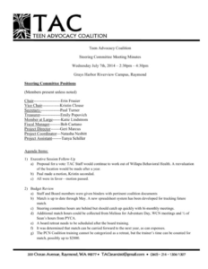 free printable project steering committee meeting template