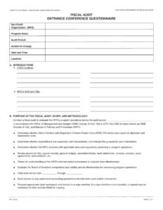 Free Printable Audit Entry Meeting Template Excel