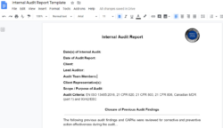 Sample Exit Meeting Internal Audit Template Doc