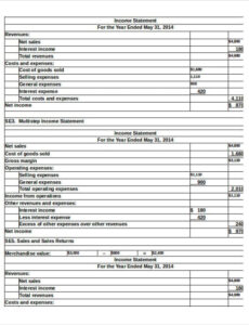 editable common size income statement template excel for your needs common size income statement template