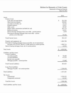 editable non profit financial statement template non profit financial statement template excel