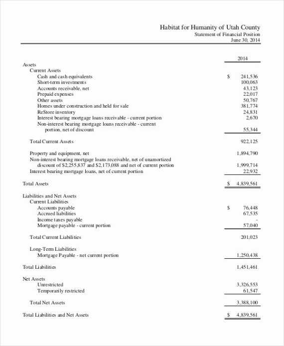 editable non profit financial statement template non profit financial statement template excel