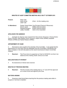 Free Sample Audit Committee Meeting Minutes Template Doc