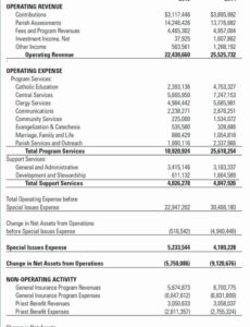 non profit financial statement template non profit financial statement template pdf