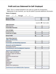 sample profit and loss statement form  template business standard profit and loss statement template sample