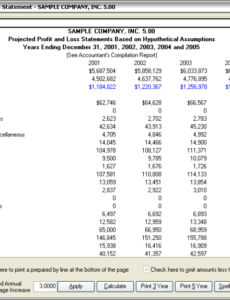 sample projected profit and loss statement screen shot  profit and loss projected profit and loss statement template example