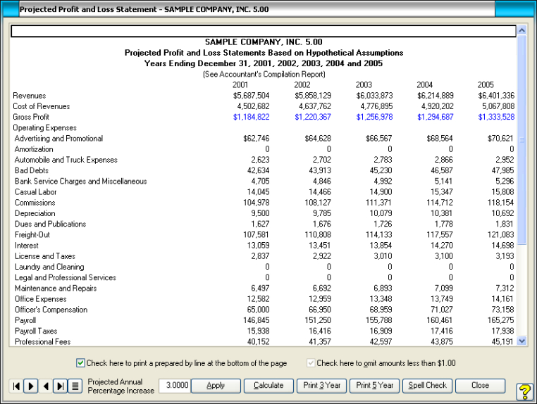 sample projected profit and loss statement screen shot  profit and loss projected profit and loss statement template example