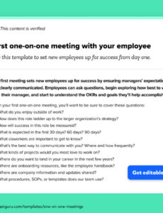 Sample Supervisor One On One Meeting Template Excel