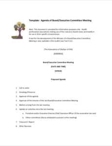 Free Printable Executive Committee Meeting Minutes Template Excel