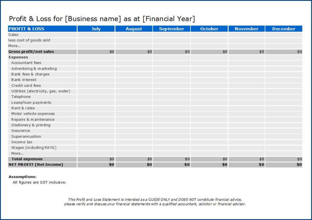 printable yeartodate profit and loss statement template year to date profit and loss statement template example