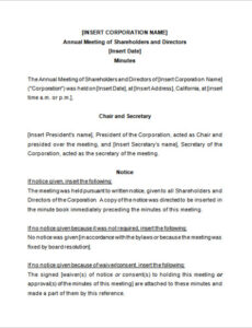 Blank First Board Of Directors Meeting Minutes Template Pdf Sample