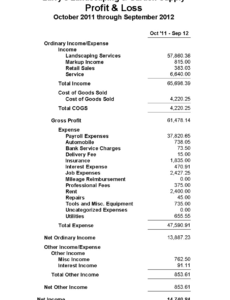 Blank Uber Profit And Loss Statement Template Pdf Sample