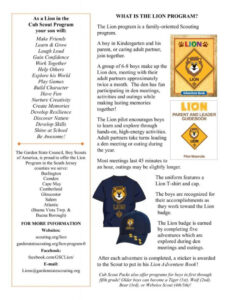 Custom Cub Scout Committee Meeting Minutes Template  Sample