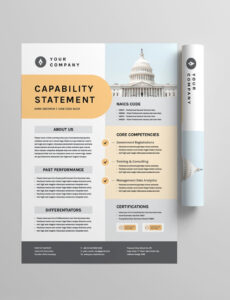 Editable Government Capability Statement Template  Sample