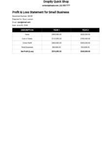 Free Blank Small Business Profit And Loss Statement Template Pdf Sample