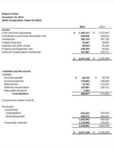 Free Printable Fund Accountability Statement Template  Sample