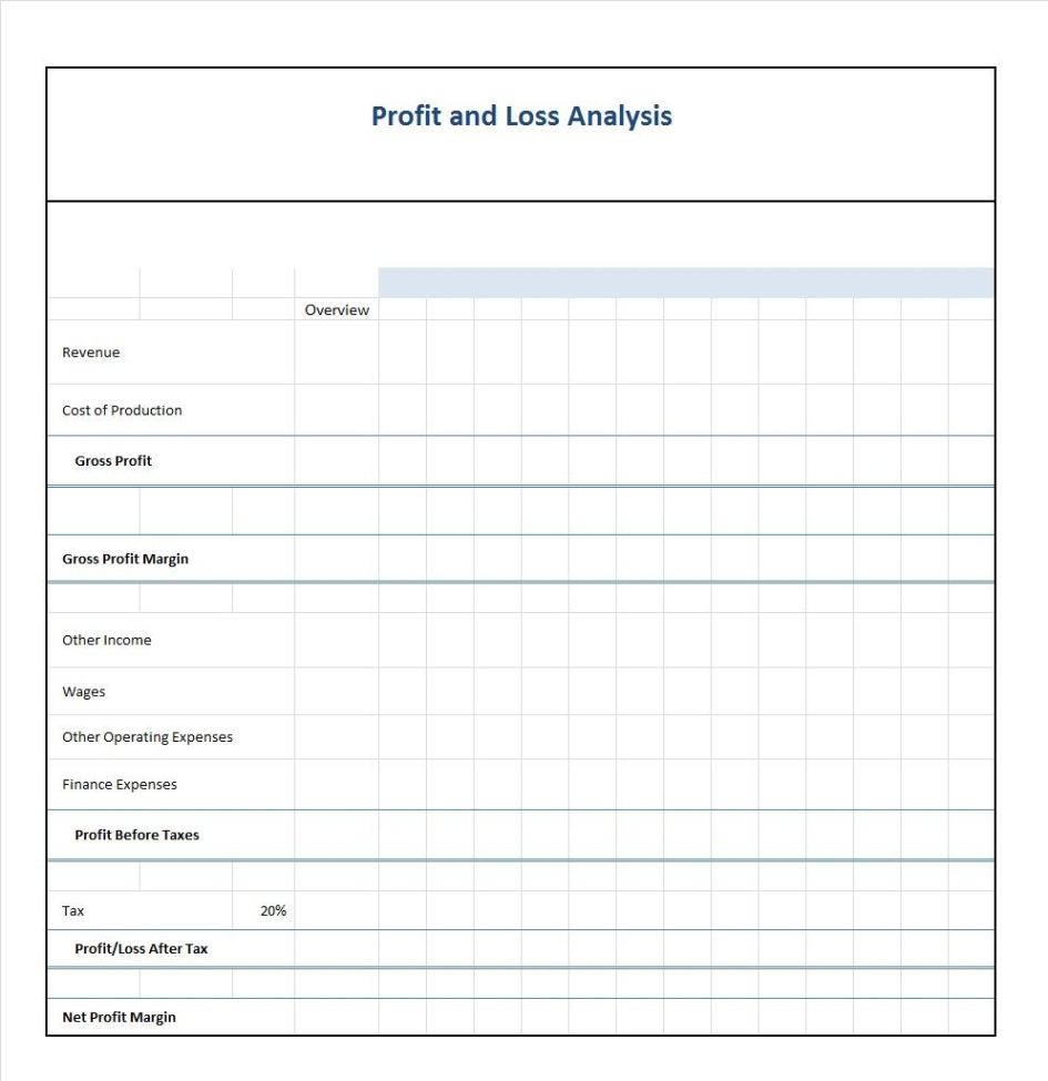 Printable Household Profit And Loss Statement Template  Sample