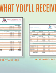 Retail Profit And Loss Statement Template  Sample